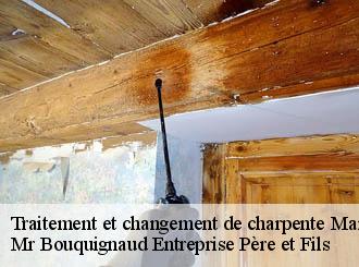 Traitement et changement de charpente 50 Manche  WP couverture 50