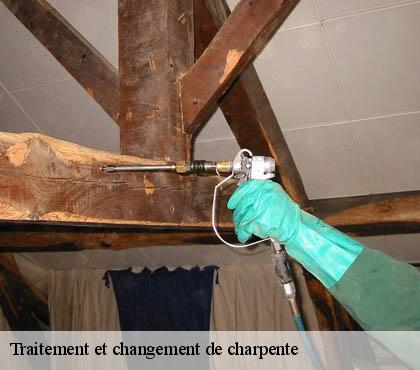 Traitement et changement de charpente