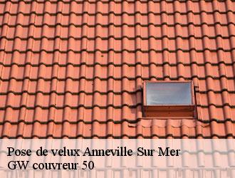 Pose de velux  anneville-sur-mer-50560 GW couvreur 50