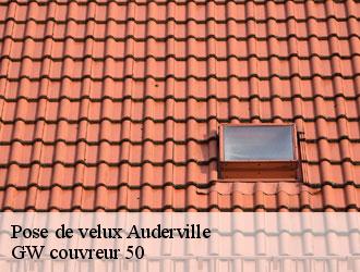 Pose de velux auderville-50440 GW couvreur 50