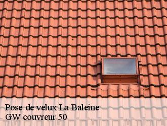 Pose de velux la-baleine-50450 GW couvreur 50