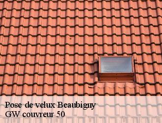 Pose de velux beaubigny-50270 GW couvreur 50