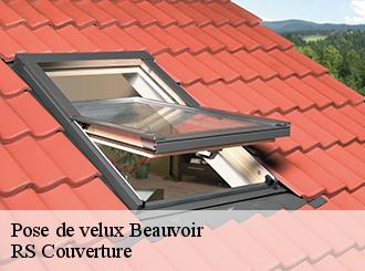 Pose de velux beauvoir-50170 Artisan Debard DM Habitat
