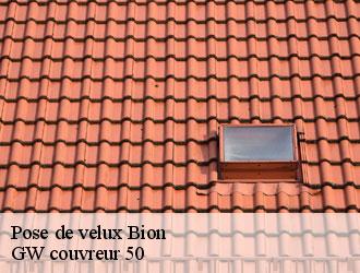 Pose de velux bion-50140 GW couvreur 50