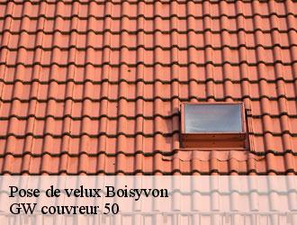 Pose de velux  boisyvon-50800 GW couvreur 50