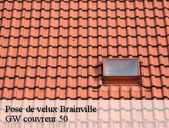Pose de velux brainville-50200 GW couvreur 50