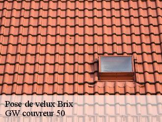 Pose de velux brix-50700 GW couvreur 50