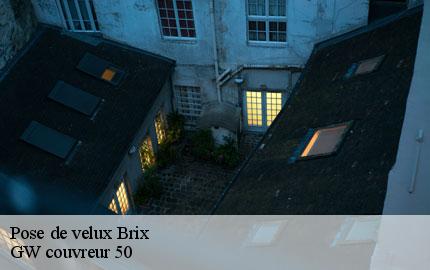 Pose de velux brix-50700 GW couvreur 50