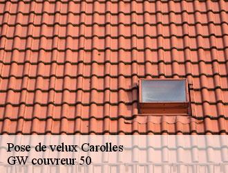 Pose de velux  carolles-50740 GW couvreur 50