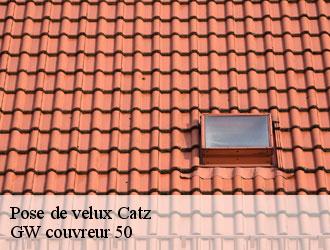 Pose de velux catz-50500 GW couvreur 50