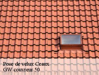 Pose de velux  ceaux-50220 GW couvreur 50