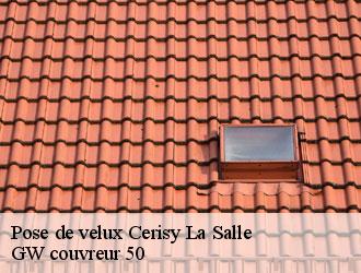 Pose de velux cerisy-la-salle-50210 GW couvreur 50