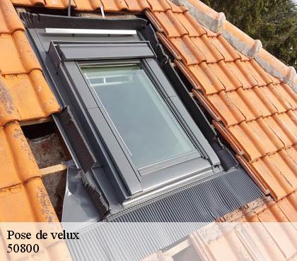 Pose de velux  50800