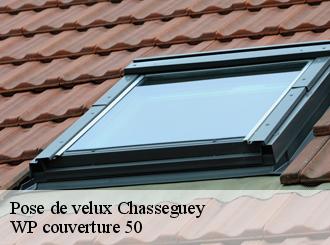 Pose de velux  chasseguey-50520 WP couverture 50