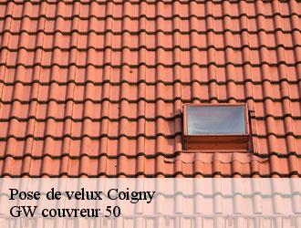 Pose de velux  coigny-50250 GW couvreur 50