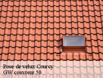 Pose de velux courcy-50200 GW couvreur 50