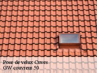 Pose de velux cuves-50670 GW couvreur 50