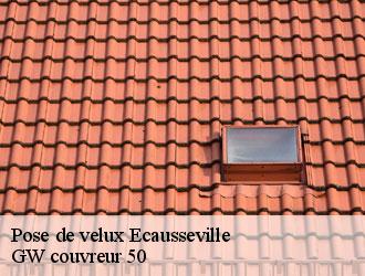 Pose de velux ecausseville-50310 GW couvreur 50