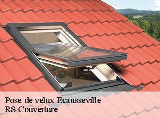 Pose de velux ecausseville-50310 RS Couverture