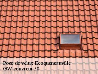 Pose de velux ecoqueneauville-50480 GW couvreur 50