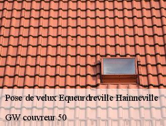 Pose de velux  equeurdreville-hainneville-50120 GW couvreur 50