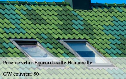 Pose de velux  equeurdreville-hainneville-50120 GW couvreur 50