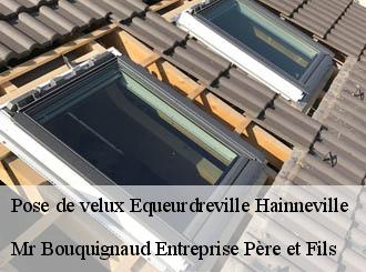 Pose de velux equeurdreville-hainneville-50120 Mr Bouquignaud Entreprise Père et Fils