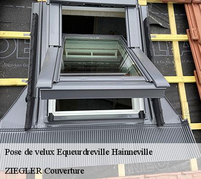 Pose de velux  equeurdreville-hainneville-50120 ZIEGLER Couverture