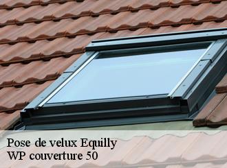 Pose de velux  equilly-50320 WP couverture 50