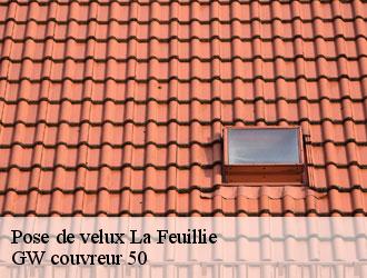 Pose de velux  la-feuillie-50190 GW couvreur 50