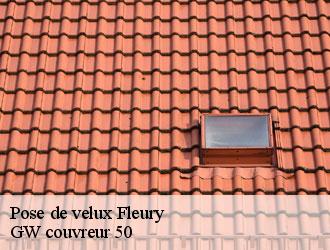 Pose de velux fleury-50800 GW couvreur 50
