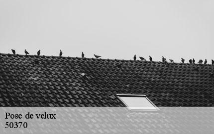 Pose de velux le-grand-celland-50370 GW couvreur 50