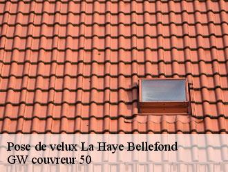 Pose de velux la-haye-bellefond-50410 GW couvreur 50