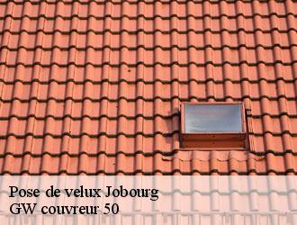 Pose de velux  jobourg-50440 GW couvreur 50