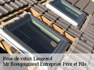 Pose de velux lingeard-50670 Mr Bouquignaud Entreprise Père et Fils