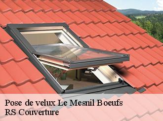 Pose de velux  le-mesnil-boeufs-50540 RS Couverture 