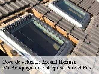 Pose de velux le-mesnil-herman-50750 Mr Bouquignaud Entreprise Père et Fils