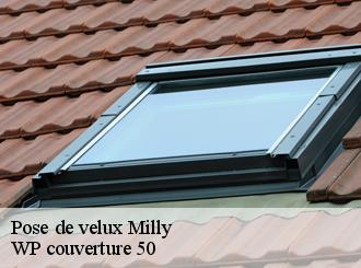 Pose de velux  milly-50600 WP couverture 50