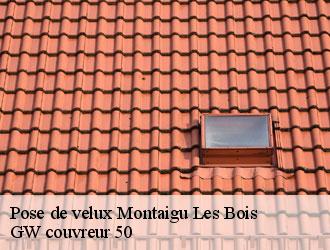 Pose de velux  montaigu-les-bois-50450 GW couvreur 50