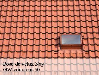 Pose de velux  nay-50190 GW couvreur 50
