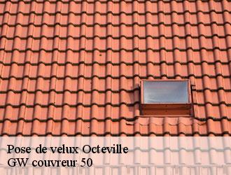 Pose de velux octeville-50130 GW couvreur 50