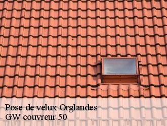 Pose de velux  orglandes-50390 GW couvreur 50