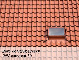 Pose de velux precey-50220 GW couvreur 50