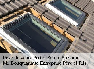 Pose de velux  pretot-sainte-suzanne-50250 Mr Bouquignaud Entreprise Père et Fils