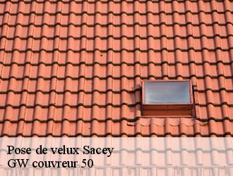 Pose de velux sacey-50170 GW couvreur 50