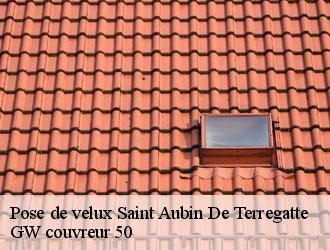 Pose de velux  saint-aubin-de-terregatte-50111 GW couvreur 50