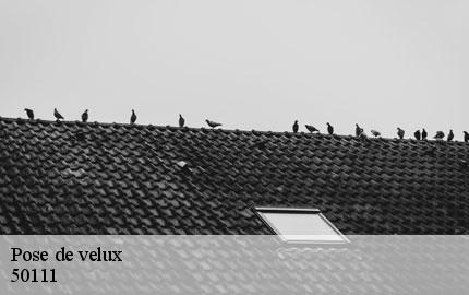 Pose de velux saint-aubin-de-terregatte-50111 GW couvreur 50