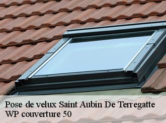 Pose de velux  saint-aubin-de-terregatte-50111 WP couverture 50