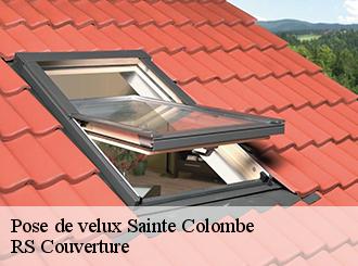 Pose de velux sainte-colombe-50390 Artisan Debard DM Habitat