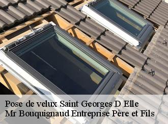 Pose de velux saint-georges-d-elle-50680 Mr Bouquignaud Entreprise Père et Fils